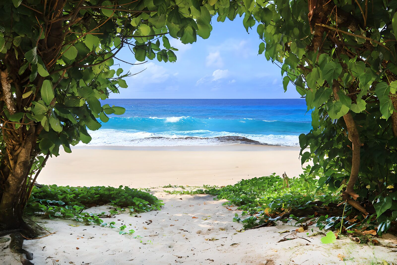 Paradiesblick am Strand