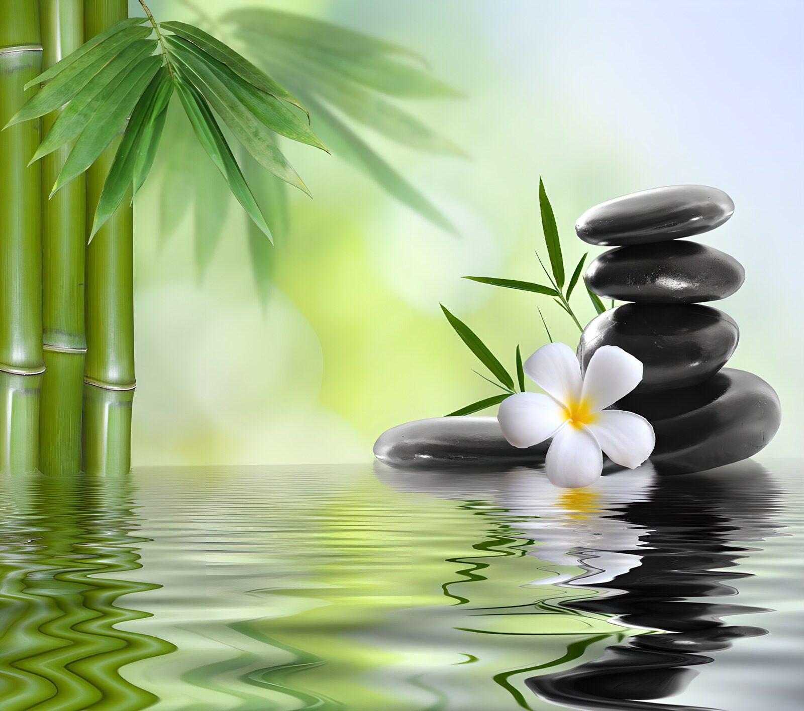 Zen-Garten mit Wasser und Steinen