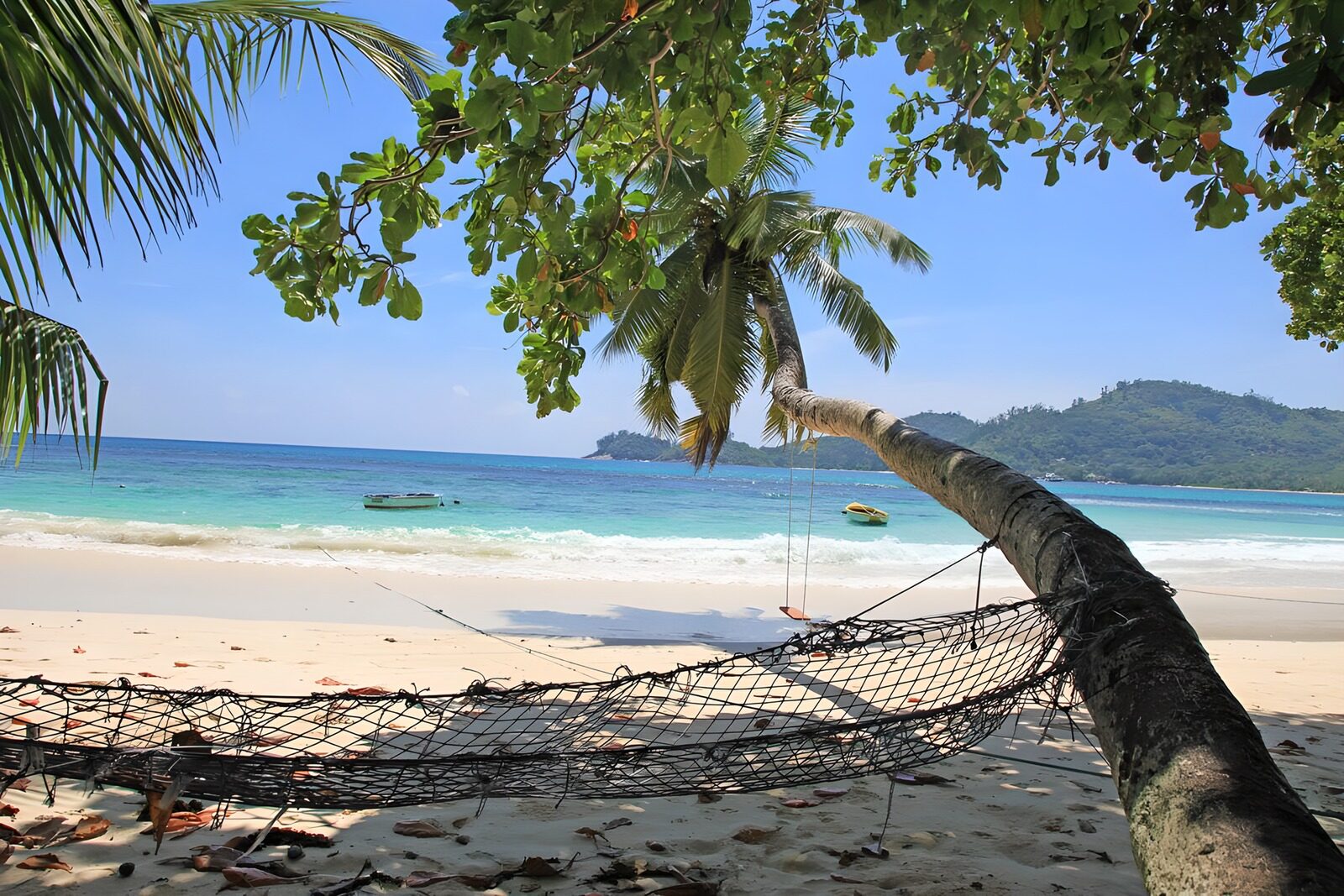 Entspannung am tropischen Strand