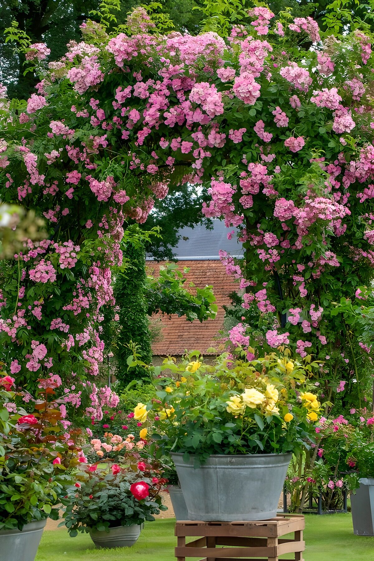 Blumenbogen im Garten