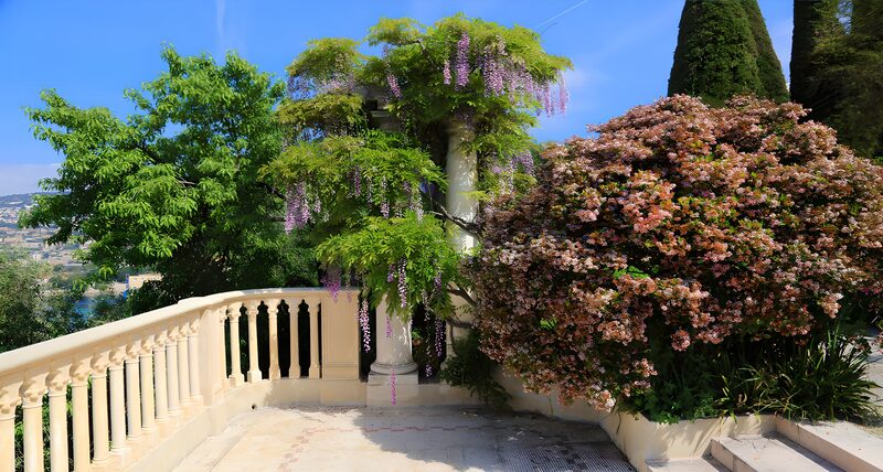 Blühende Oase im mediterranen Garten