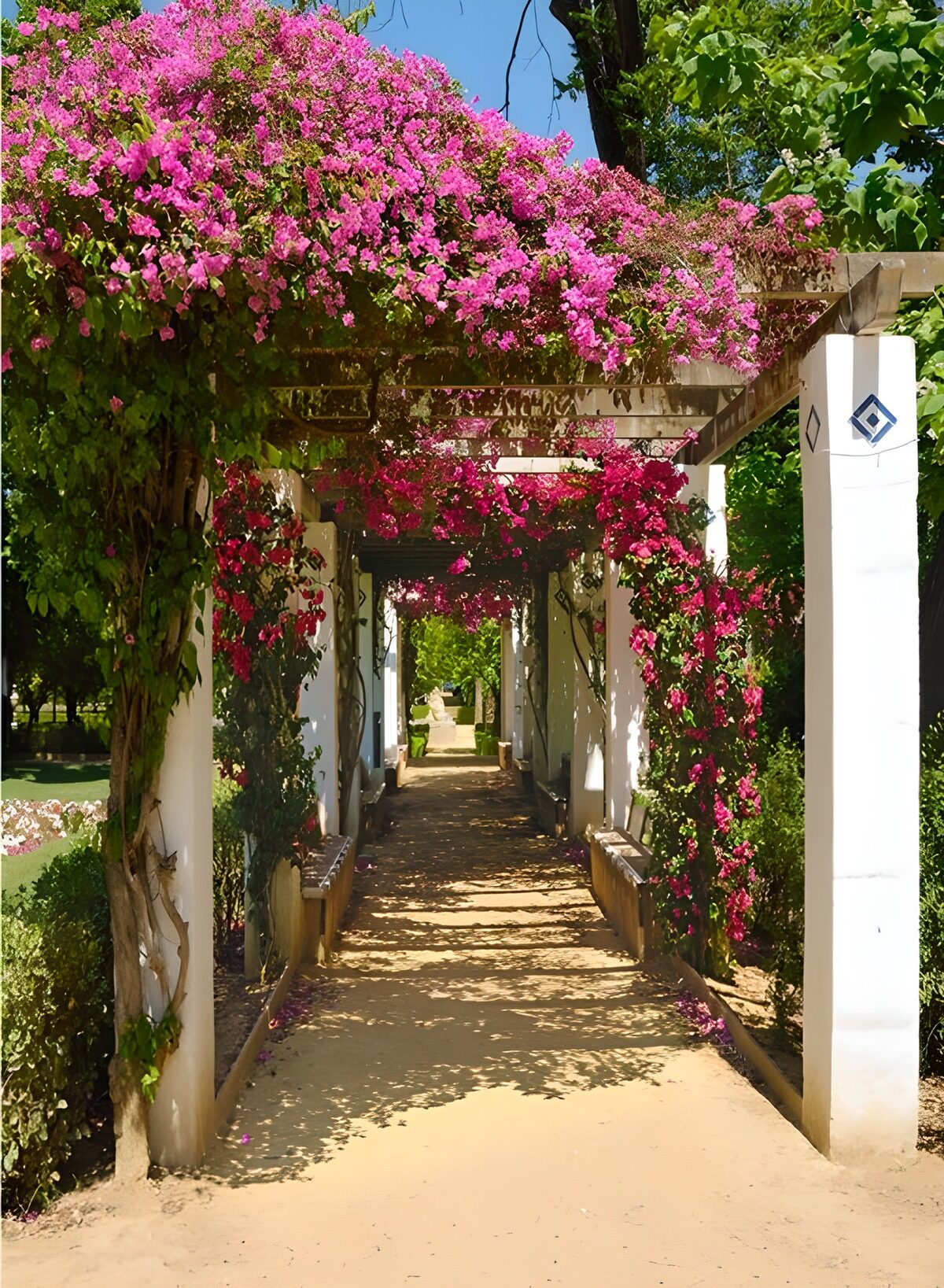 Blühender Weg im Garten