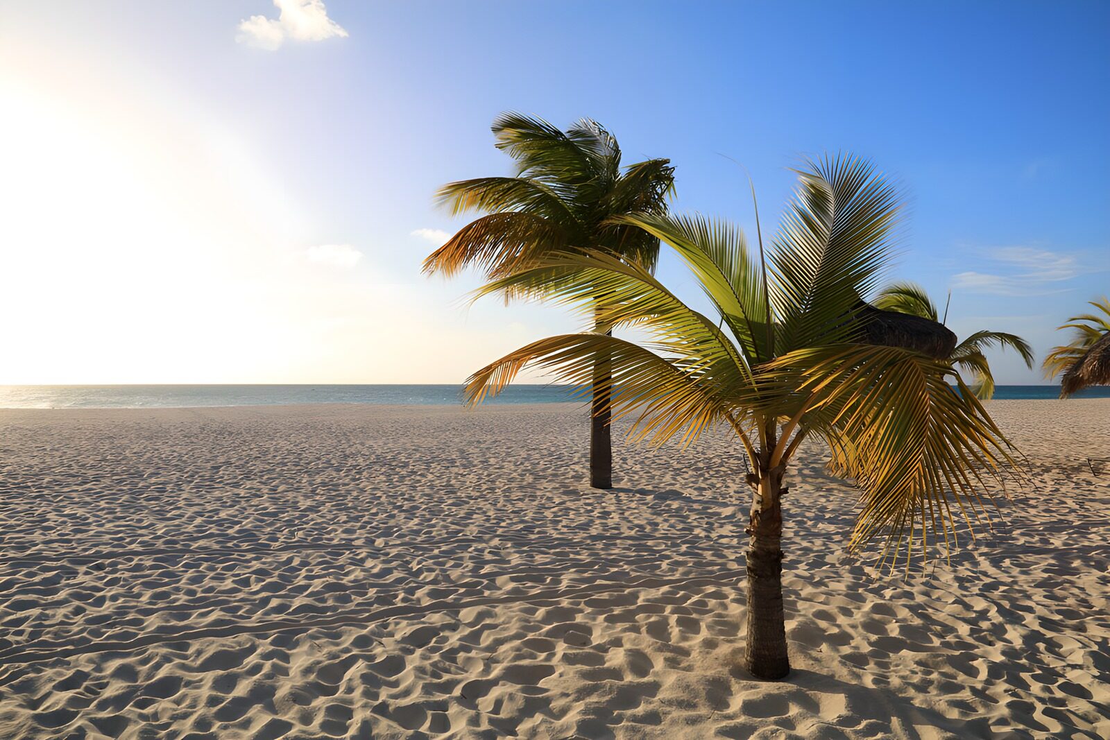 Traumstrand mit Palmen
