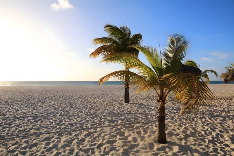 Traumstrand mit Palmen