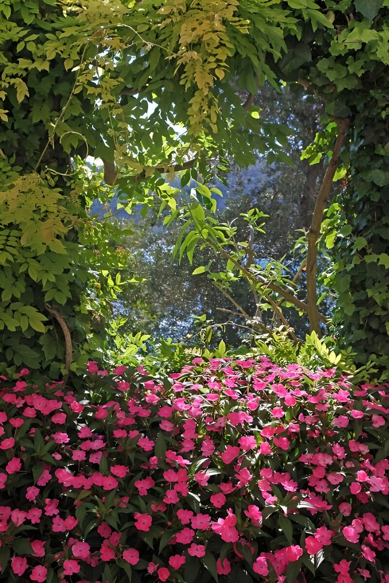 Blühender Gartenrahmen mit Aussicht