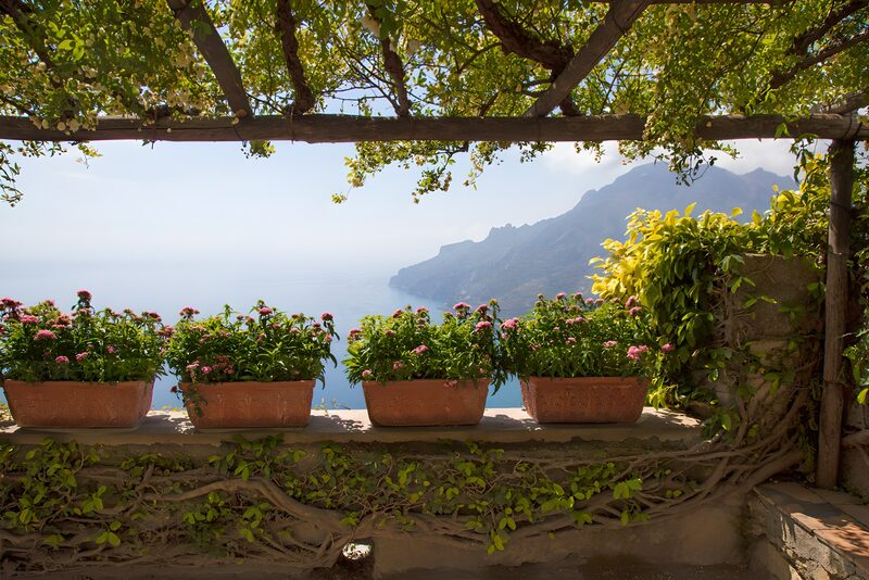 Pflanzenpracht mit Blick auf das Meer