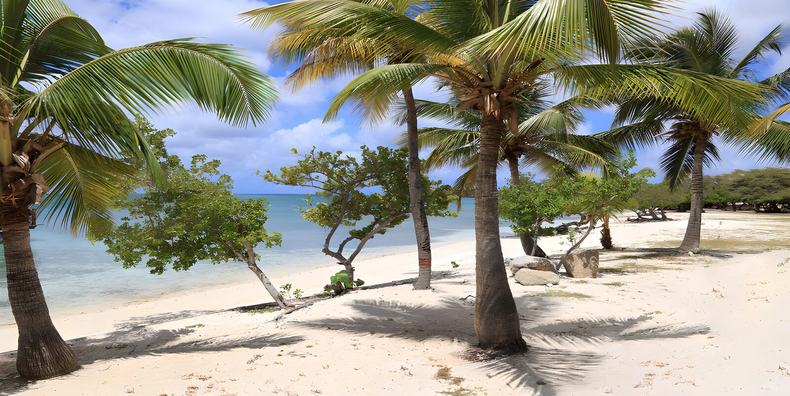 Tropischer Strand mit Palmen