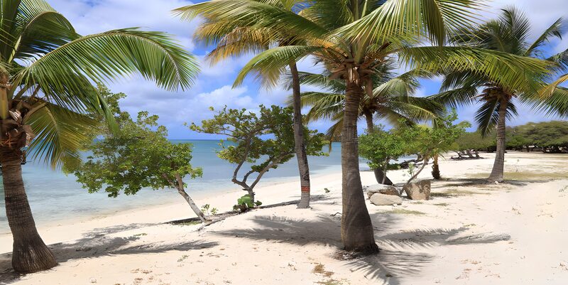 Tropischer Strand mit Palmen