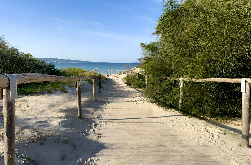 Weg zum Strand bei schönem Wetter