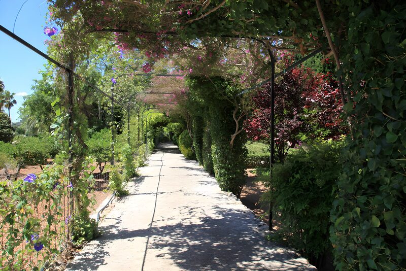 Magischer Gartenweg im Sommer
