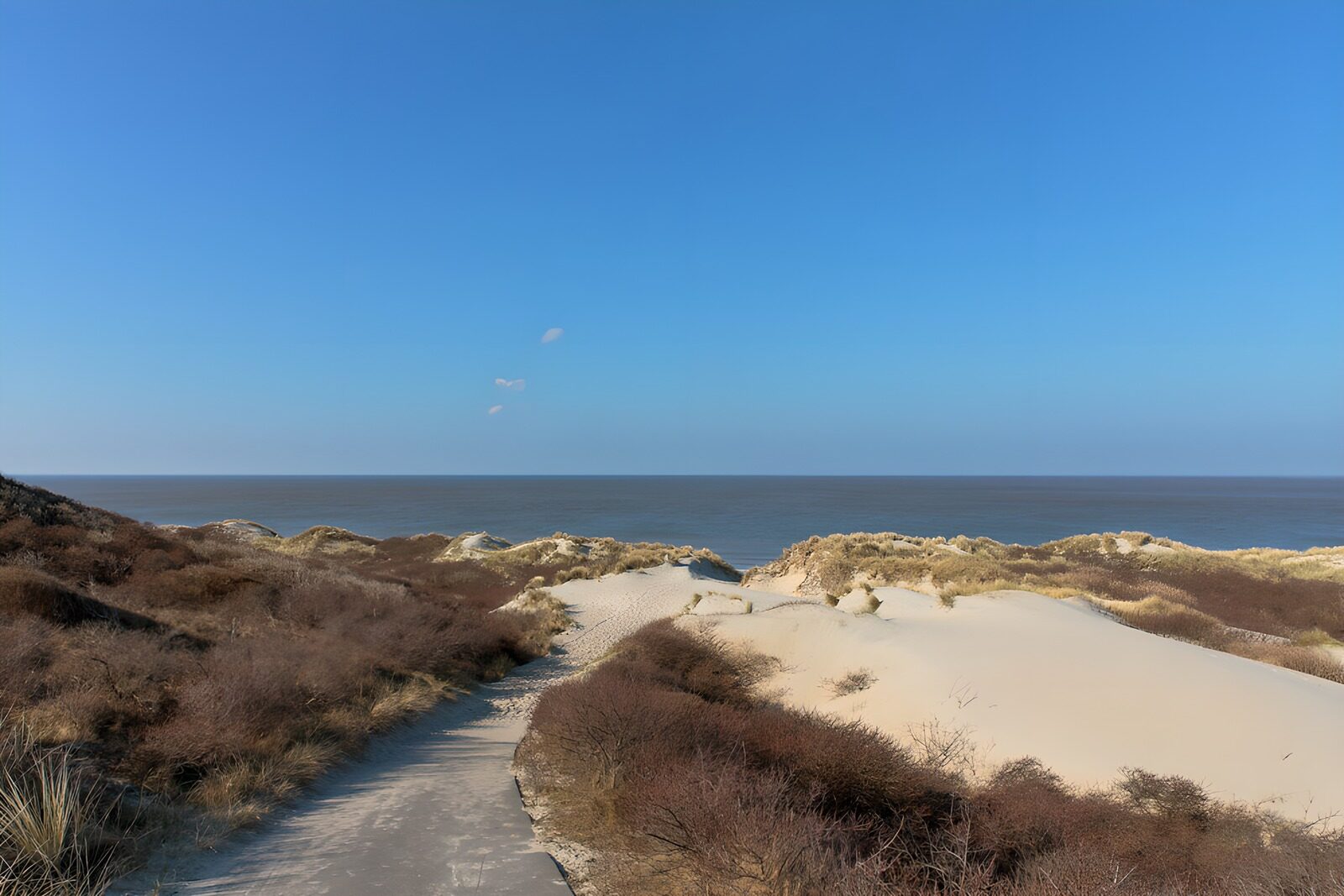 Küstenlandschaft mit Dünen und Meerblick