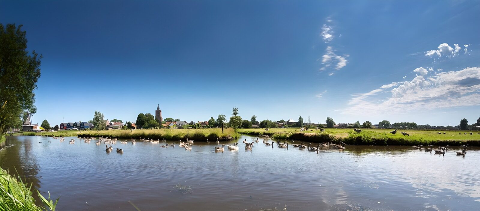 Ruhiger Fluss mit Enten und Landschaft