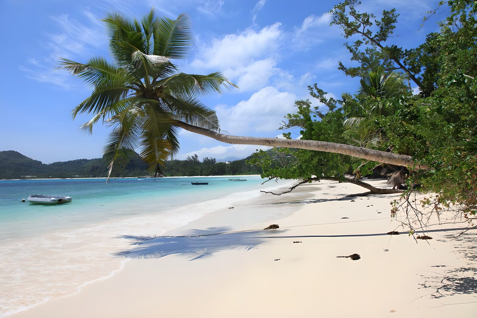 Traumstrand mit Palmen