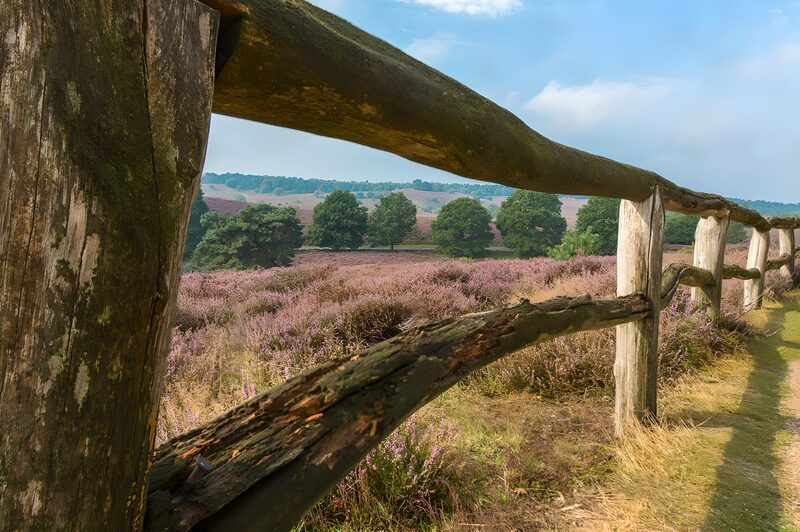 Ländliche Aussicht über die Heide