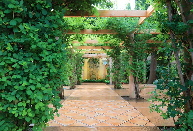Grüner Pfad unter Holzpergola
