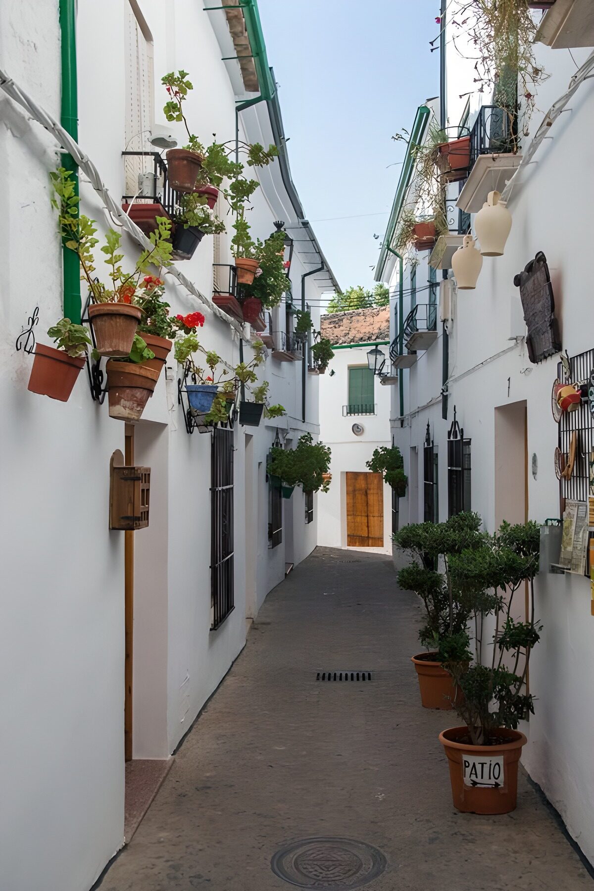 Charmante Gasse mit Blumenpflanzen