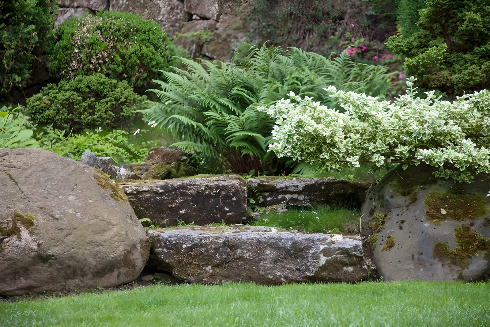 Grüner Garten mit Steinen und Pflanzen