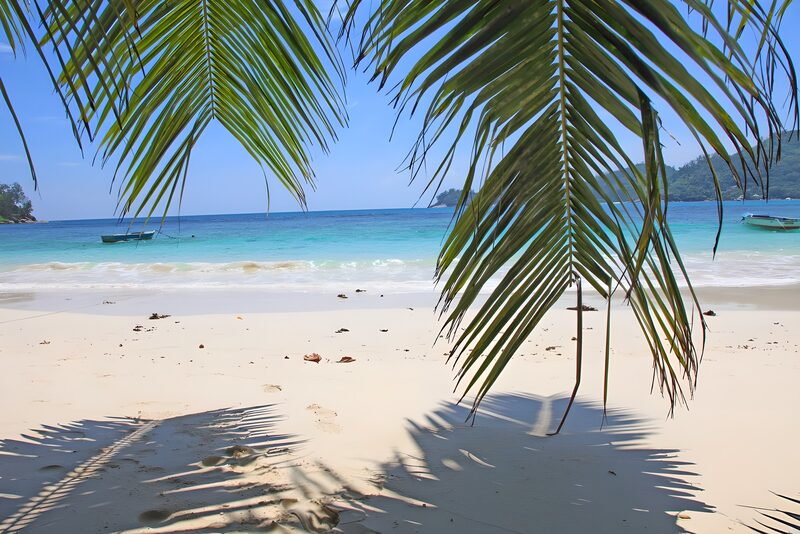 Tropischer Strandblick mit Palmen