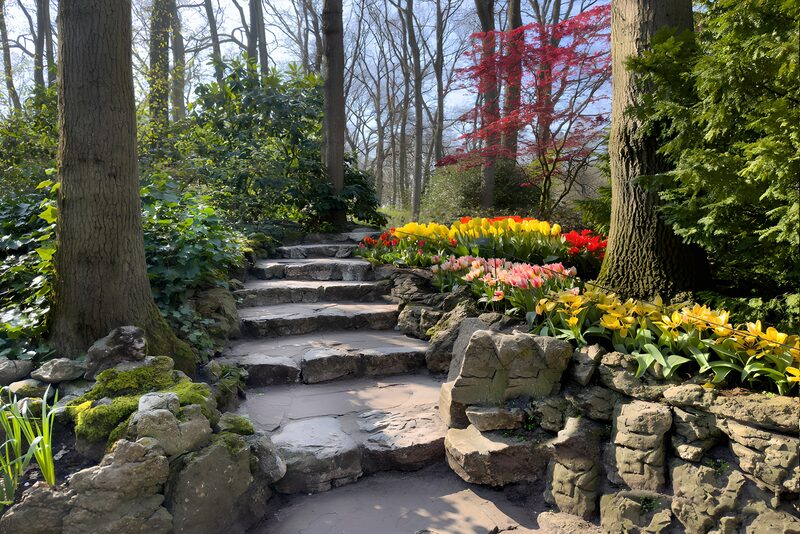Frühlingsweg im Garten