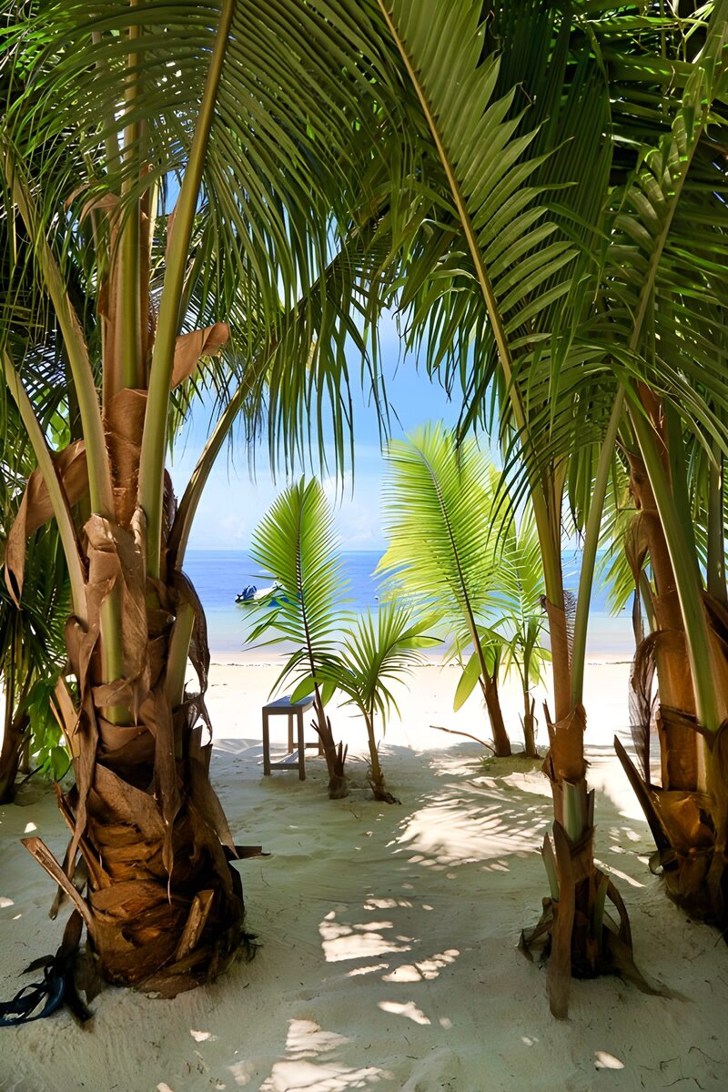 Tropischer Strandblick mit Palmen