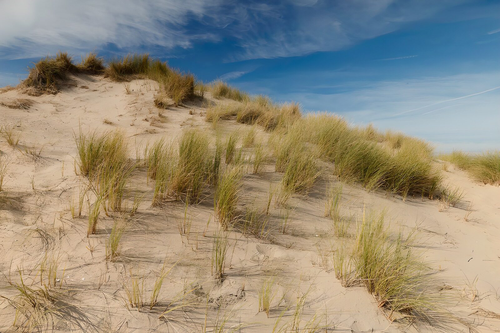 Sanddüne mit Grasbewuchs