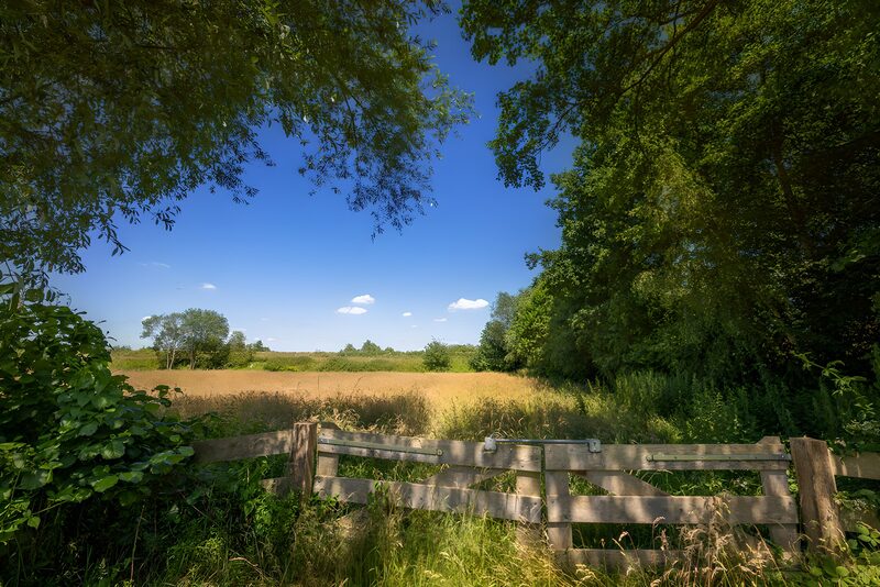 Friedliche Landschaft mit Weidezaun