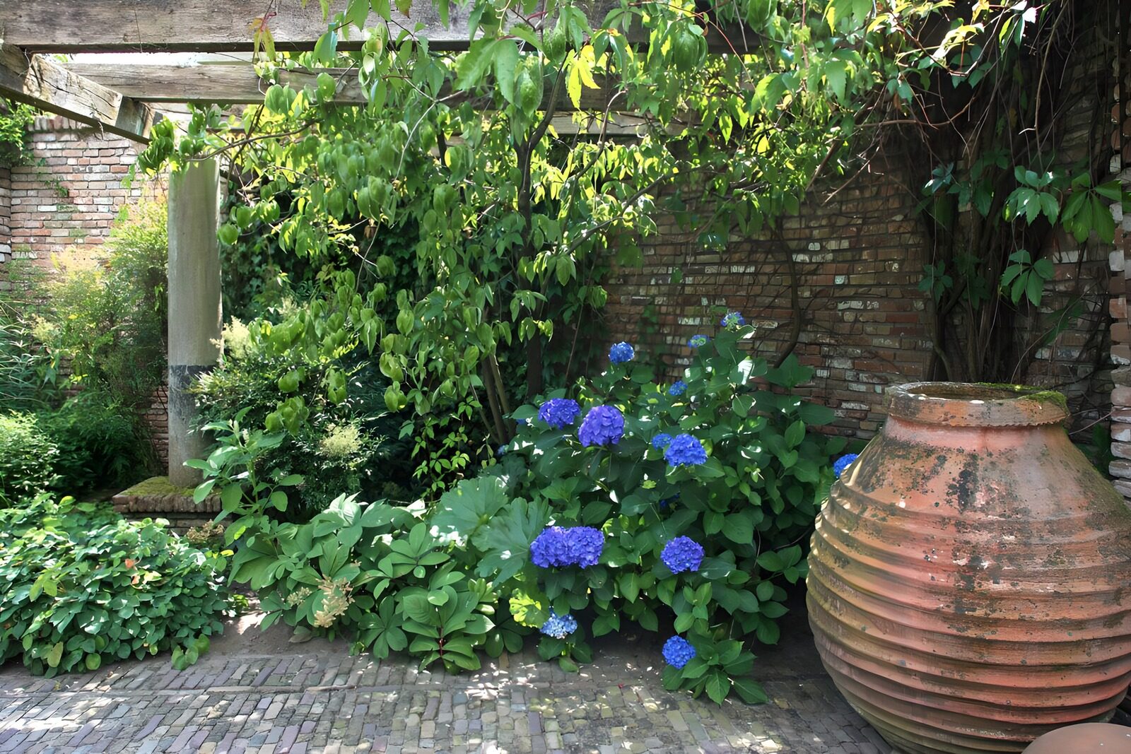 Blühender Garten mit blauen Hortensien