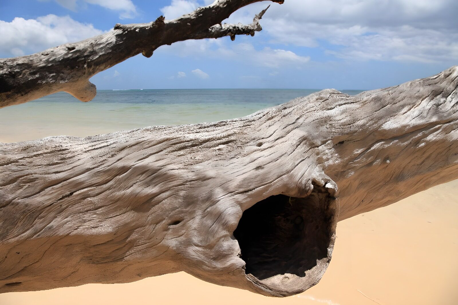 Verwittertes Holz am Strand