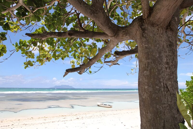 Ruhe am Strand unter einem Baum