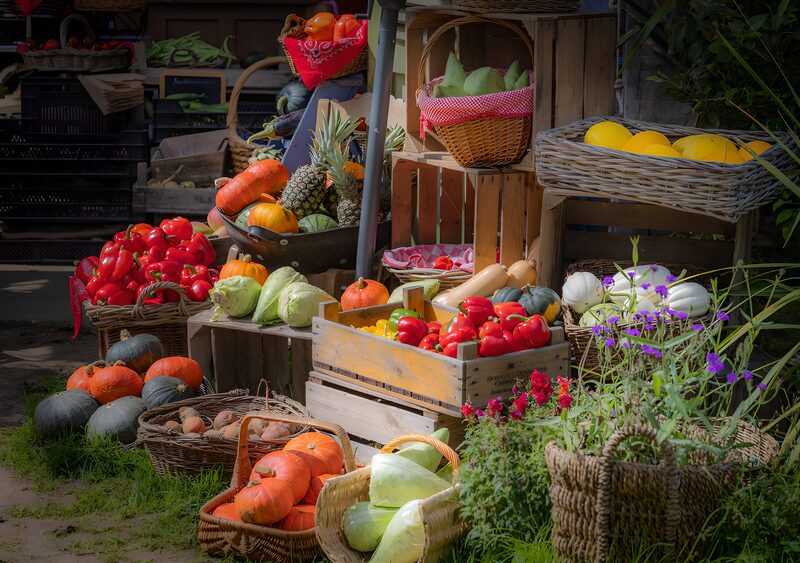 Bunte Ernte auf dem Markt