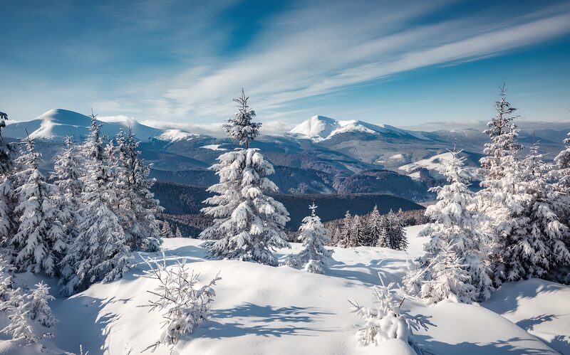 Winterlandschaft mit schneebedeckten Bäumen