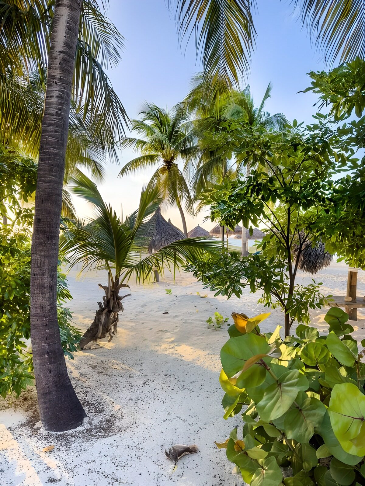 Tropische Strandlandschaft im Morgenlicht