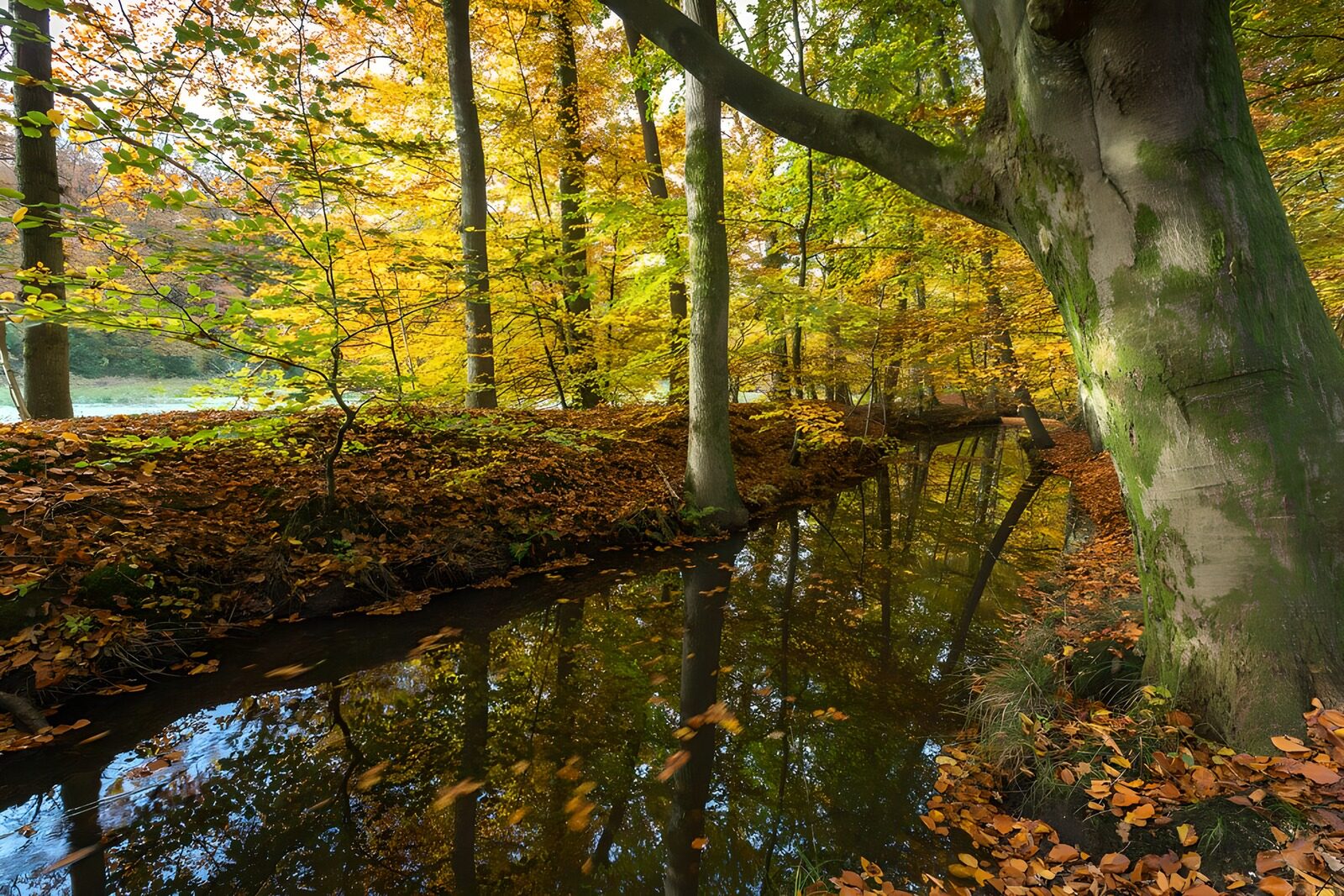 Herbstliche Idylle am Flussufer