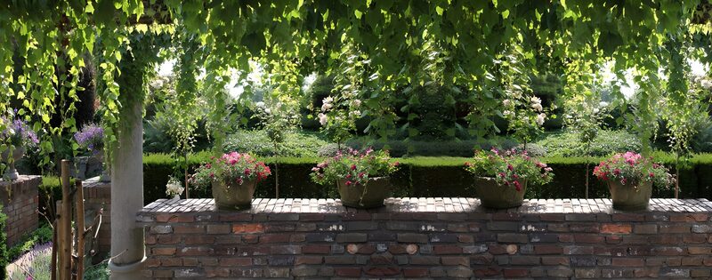 Blütenzauber im Garten