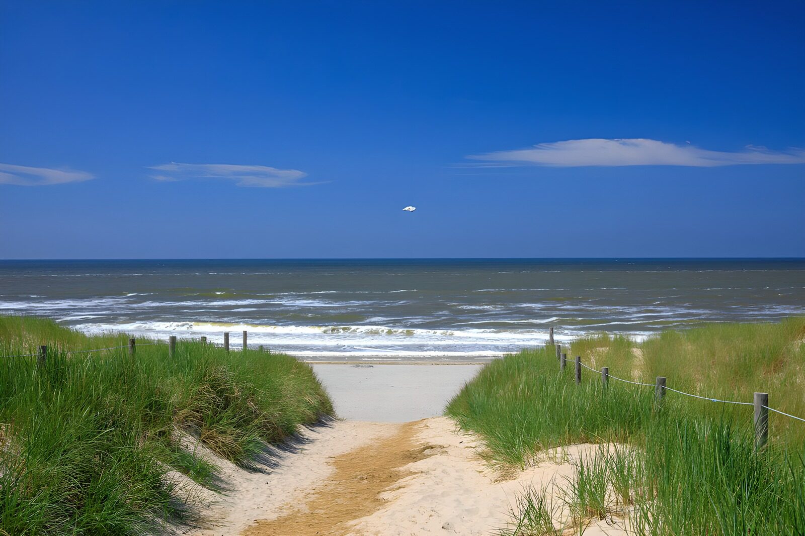 Strandweg zum blauen Meer