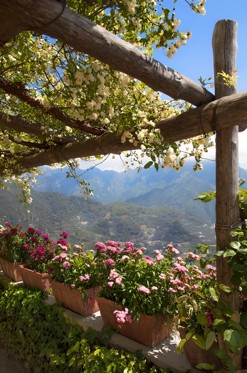 Blumenpracht über den Bergen
