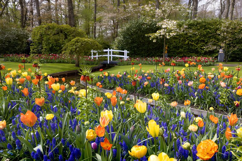 Blühender Garten im Frühling