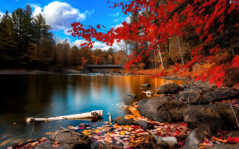 Herbstliche Ruhe am Flussufer
