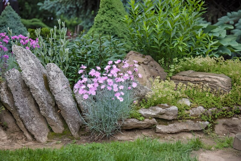 Blumen und Steine im Garten