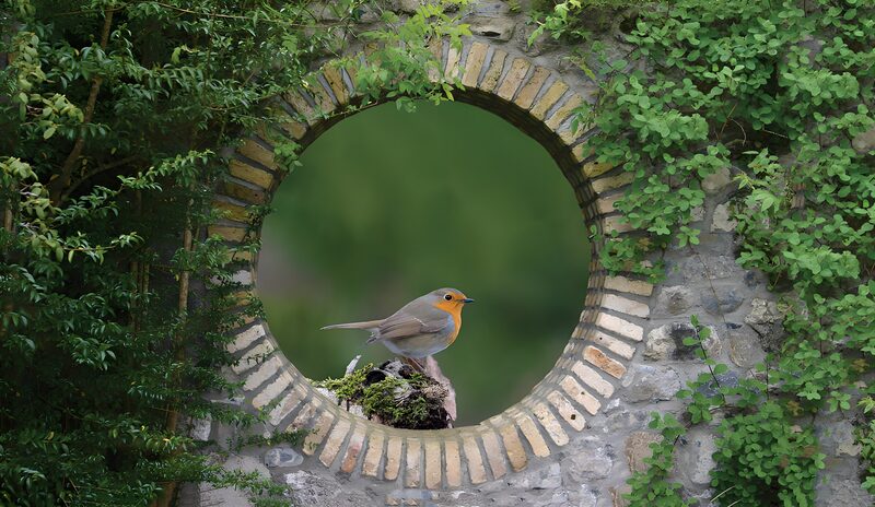 Vogel im Rundbogen