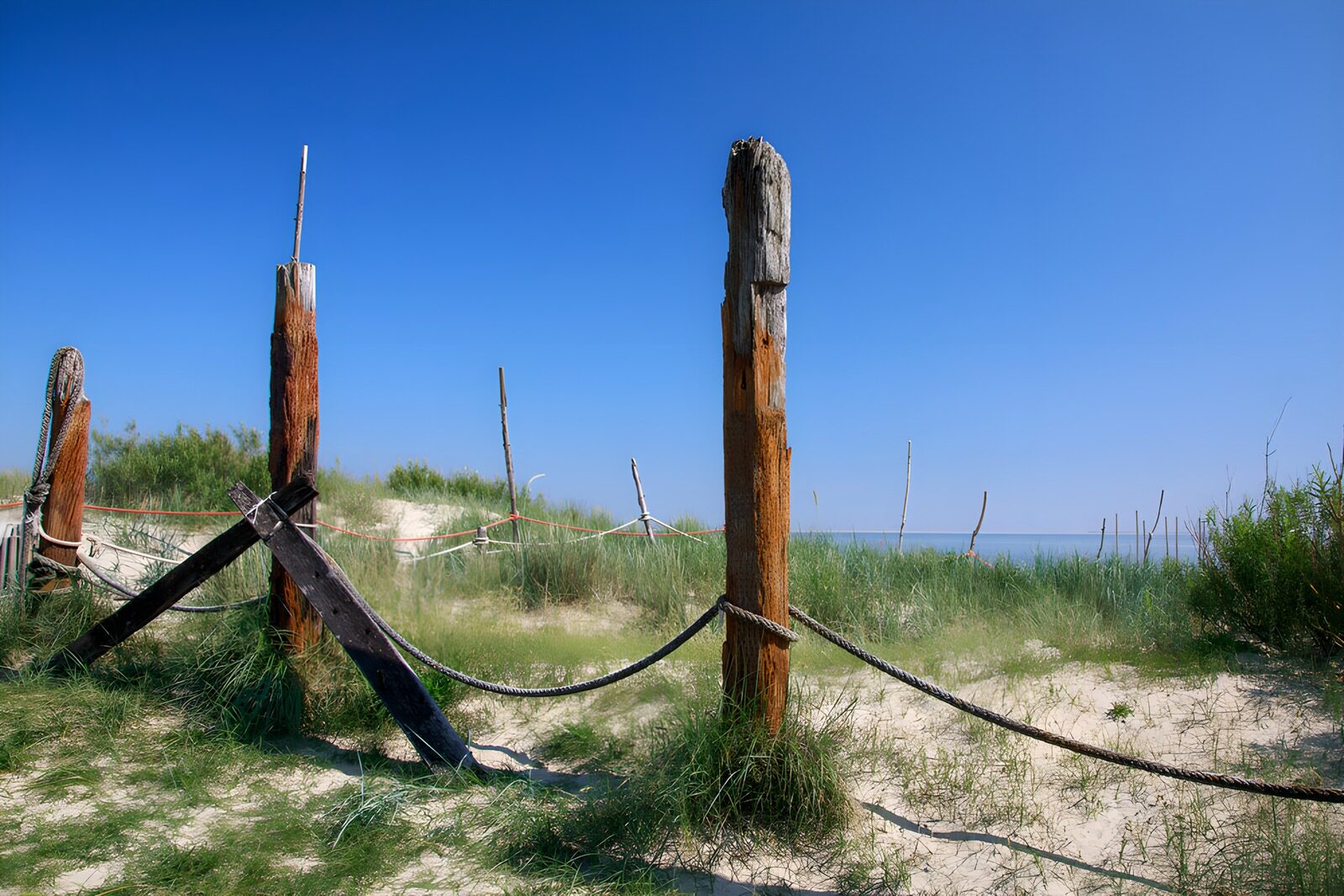 Strandzaun im Grünen unter klarem Himmel