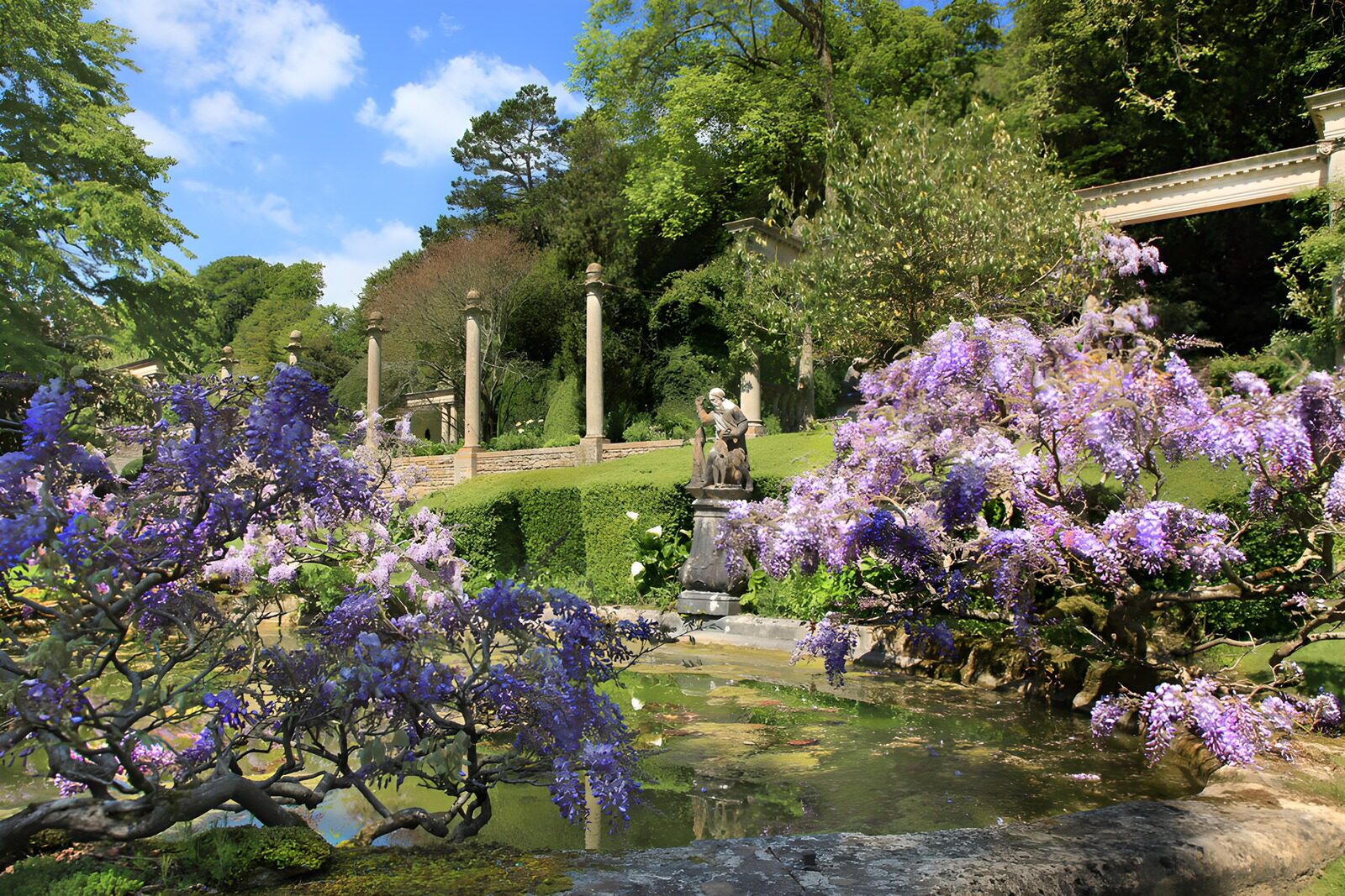 Wunderschöner Garten im Frühling