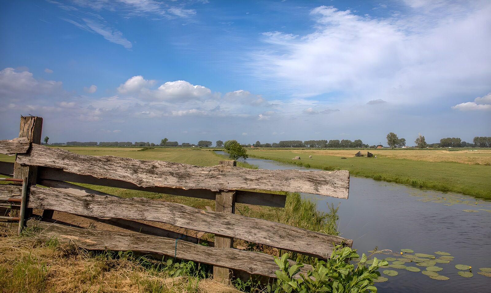 Idylle am Wasser – Ländliche Landschaft