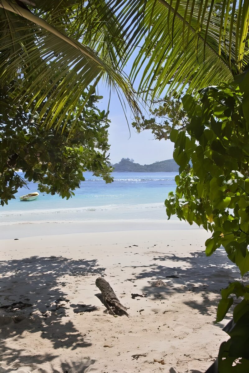 Paradiesischer Strandblick im Dschungel