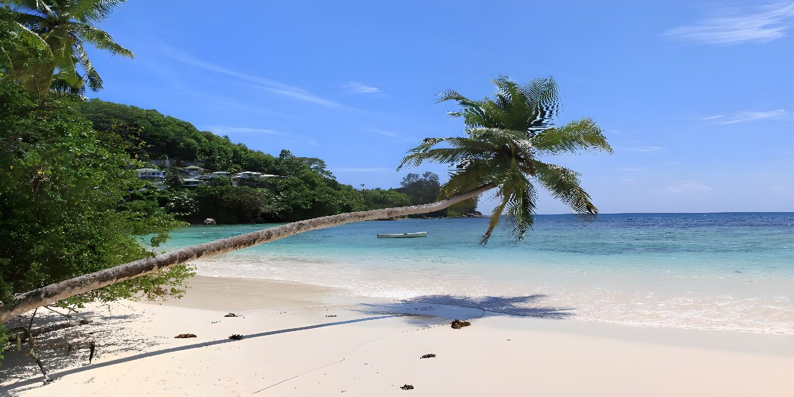 Traumstrand mit Palmen