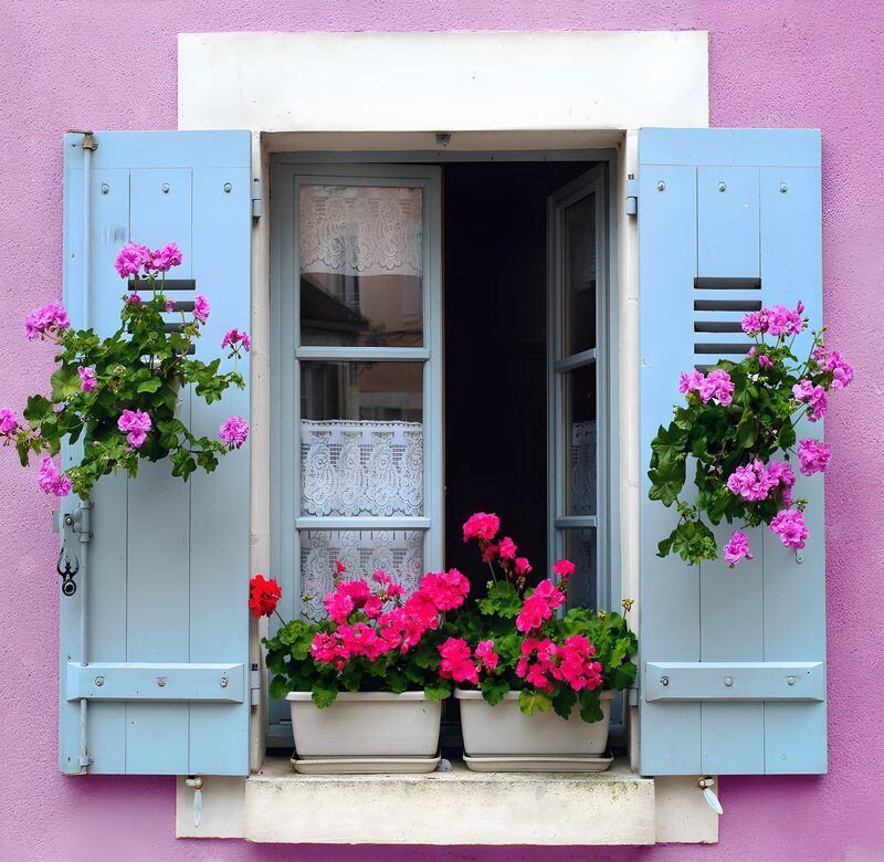 Bunte Fensterblumen vor pinker Wand