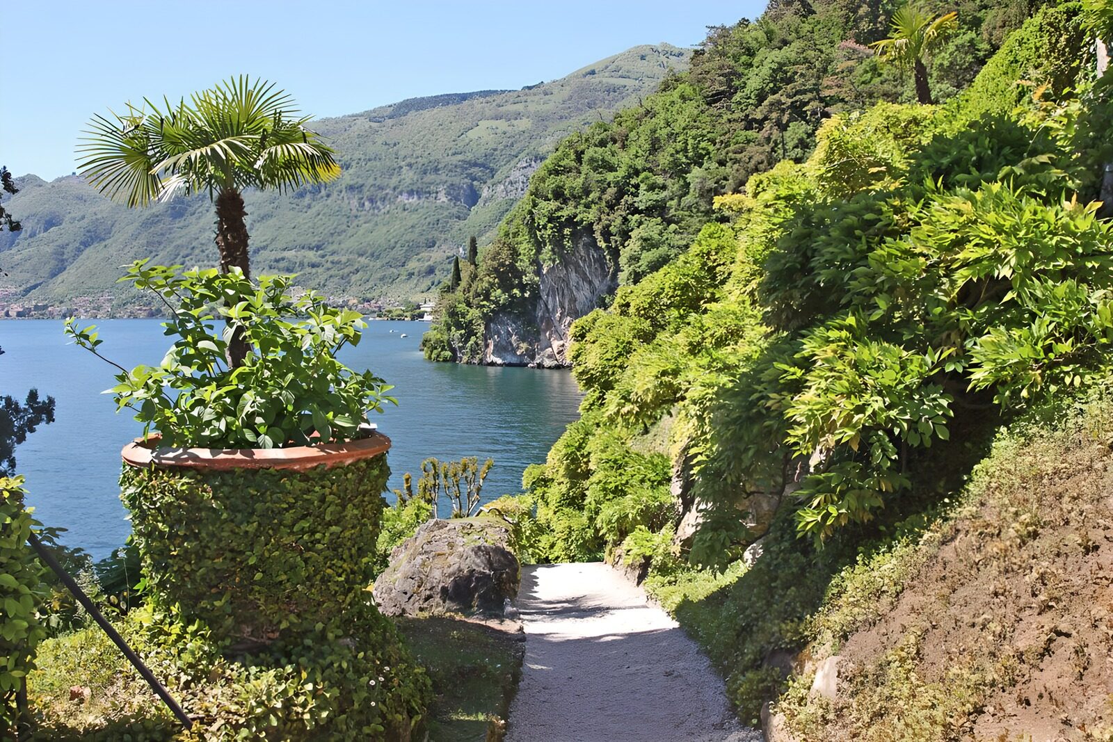 Idylle am See: Gruene Natur und Ruhe