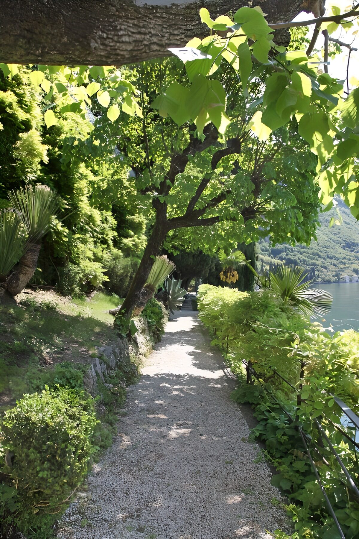 Ruhiger Spaziergang am Seeufer