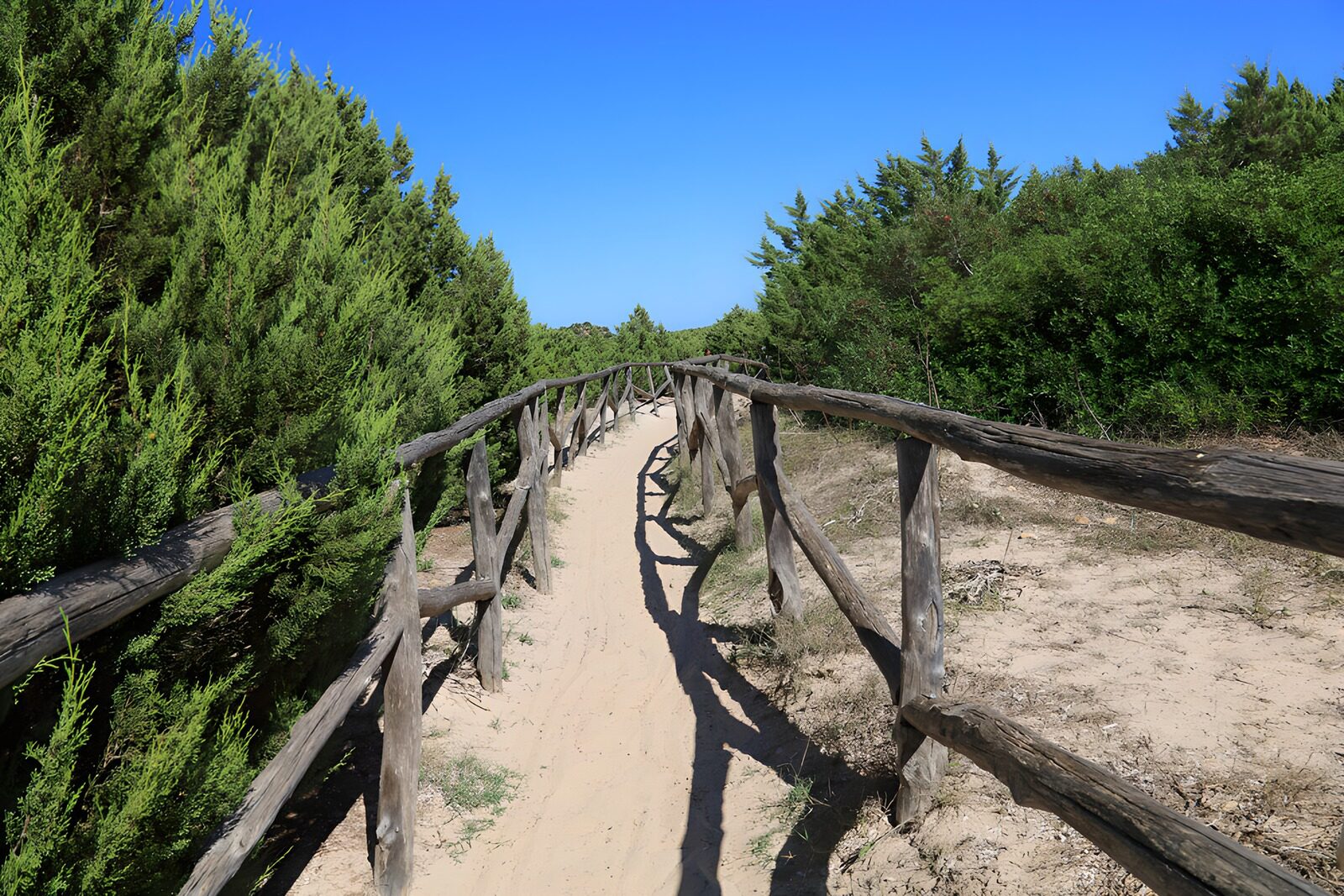 Sandweg durch die Natur