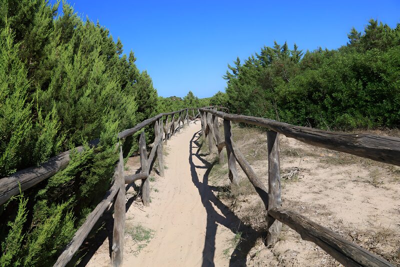 Sandweg durch die Natur